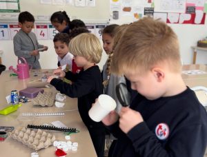 Read more about the article Year 1 Science: Exploring Materials and Their Properties