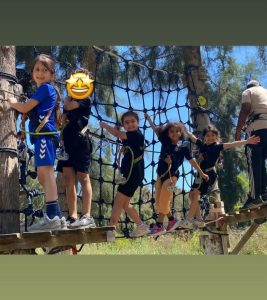 Read more about the article Flamingo Forest Park